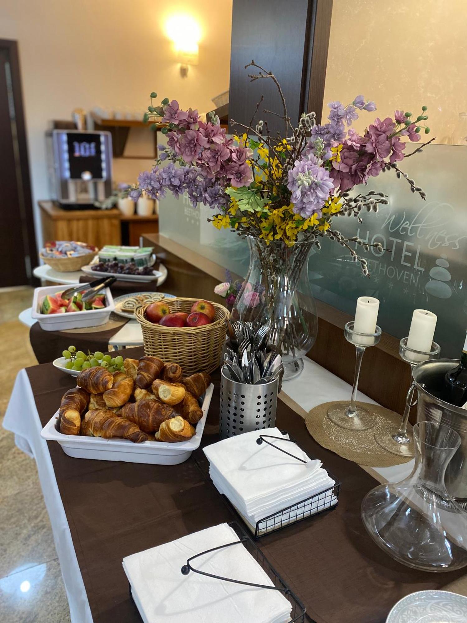 Wellness Hotel Beethoven Chomutov Dış mekan fotoğraf